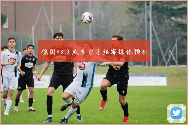 德国vs厄瓜多尔小组赛媒体预测