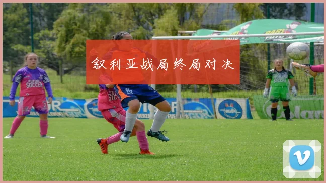 叙利亚战局终局对决