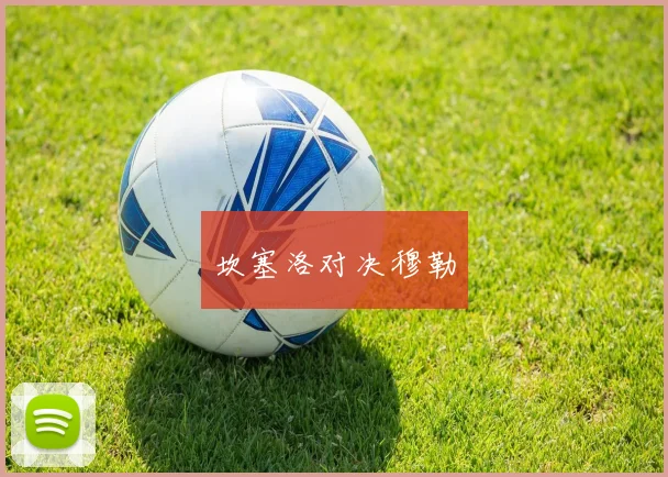 坎塞洛对决穆勒