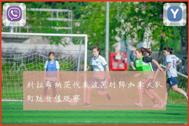 科拉希纳茨代表波黑对阵加拿大队盯防价值观察
