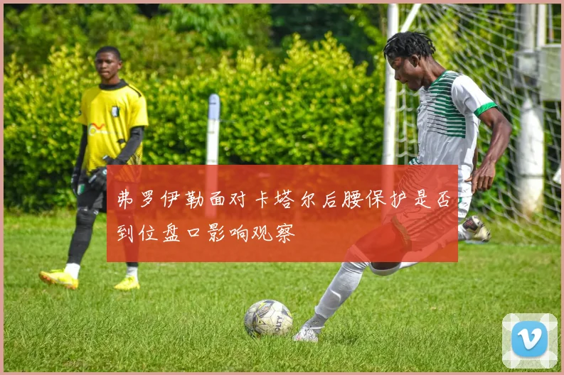 弗罗伊勒面对卡塔尔后腰保护是否到位盘口影响观察