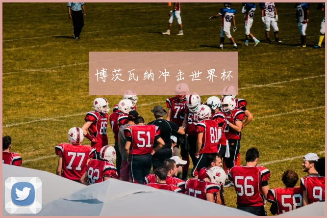 博茨瓦纳冲击世界杯