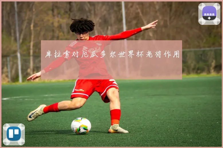 库拉索对厄瓜多尔世界杯老将作用