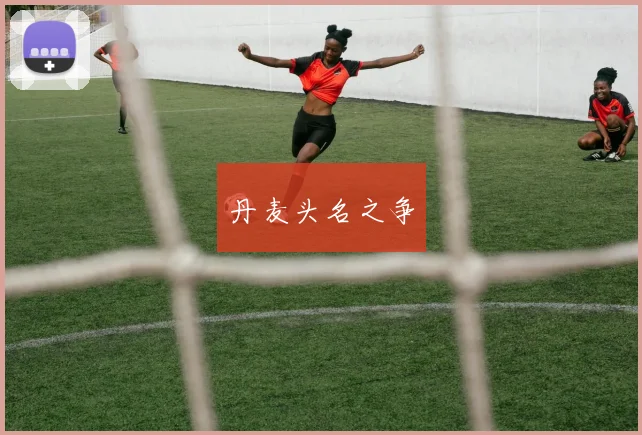 丹麦头名之争