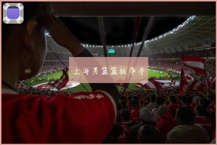 上海男篮篮板争夺